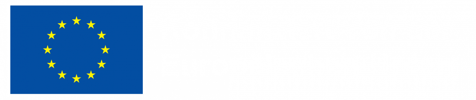 Parts of 2Sync are Co-financed by the European Union