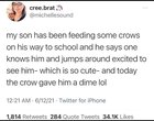 r/MadeMeSmile - Crows never forget a good person.