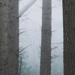 r/Outdoors icon