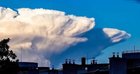 r/Pareidolia - I see a stoned bear waving
