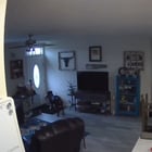 r/AnimalsBeingDerps - Dads not gonna be happy about the hole in the wall