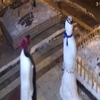 r/Whatcouldgowrong - Instant karma
