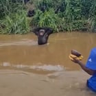 r/interesting - Chimp’s heartfelt reaction on seeing the careraker who rescued him years ago