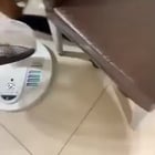 r/AnimalsBeingGeniuses - squirrel stages “accident” for attention