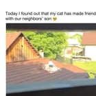 r/holdmycatnip - The start of a great friendship 🥹